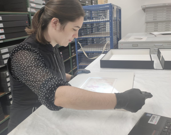 Léa, assistante de conservation au MAMC+ 