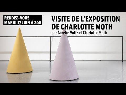 Visite de l'exposition de Charlotte Moth ? | MAMC+