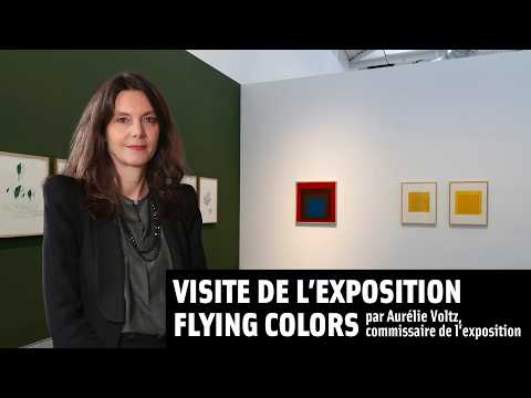Visite de l'exposition Flying Colors 🌈 | MAMC+