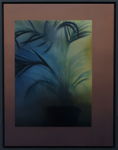 Clément Davout, "L'absence se construit tout autour", 2019
