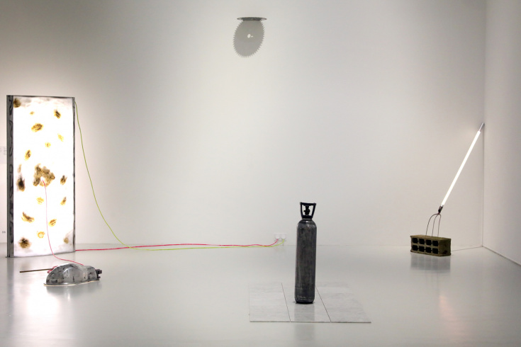 Rudy Dumas, view of the exhibition