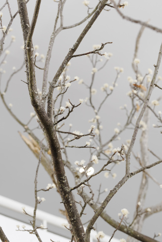 Lionel Sabatté, "Printemps 2021" (détail), 2021