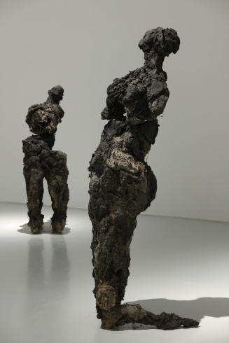 Lionel Sabatté, série "Fragment", 2021