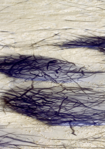 Thomas Ruff, "IRB_ma.r.s.05", 2014