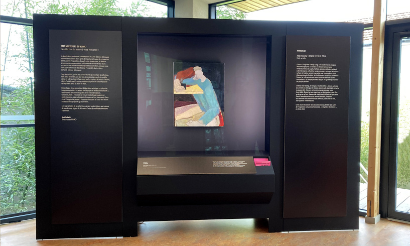 Vue de l'œuvre de Firenze Lai "Real Reality", 2019, à la médiathèque l'Esperluette à Saint-Genest-Lerpt