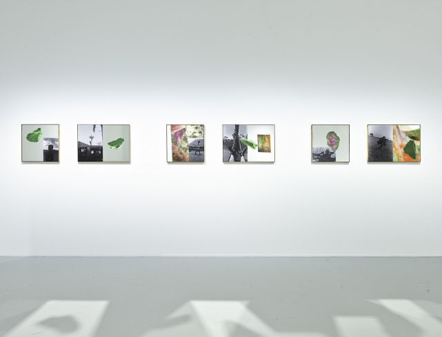 View of works by Sammy Bajoli