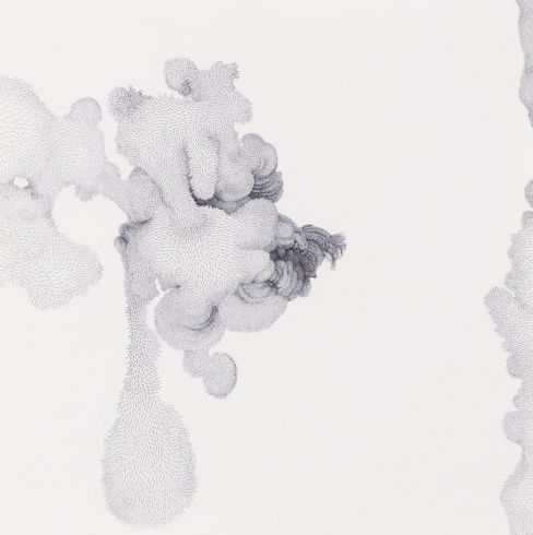 Min Jung-Yeon, "Evolution 1", 2011