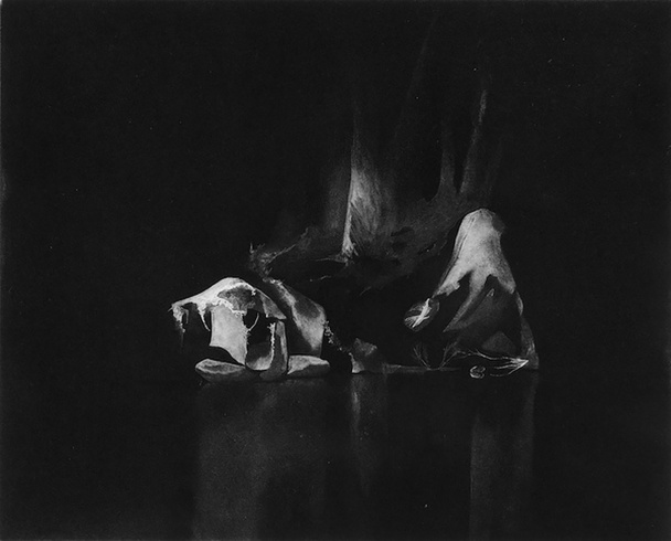 Anne Laure Sacriste, "L'île en lac", 2010