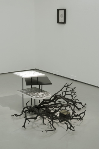 Stéphanie Nava, "Pavillon Ludwig" [Ludwig Pavilion], 2011