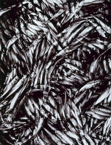 Lied der Fische (Chant des poissons)