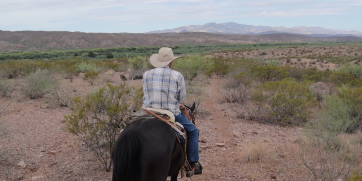 Cow-boy dans le désert de Cascabel