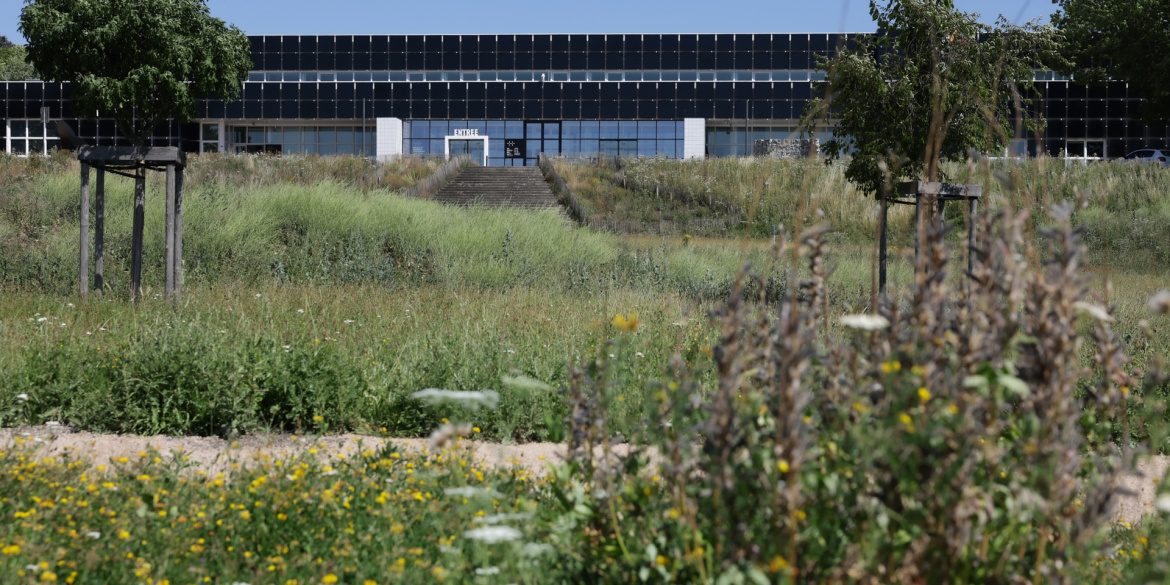 Vue du Musée d'art moderne et contemporain depuis le jardin