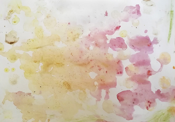 Le paysage enchanté, par Anna