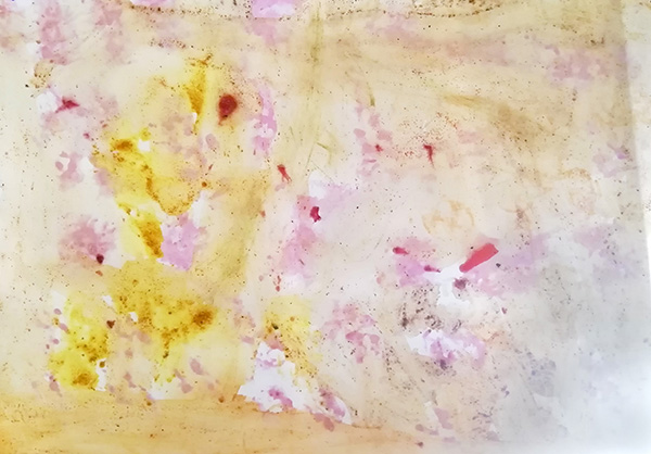 Le paysage enchanté, par Koray