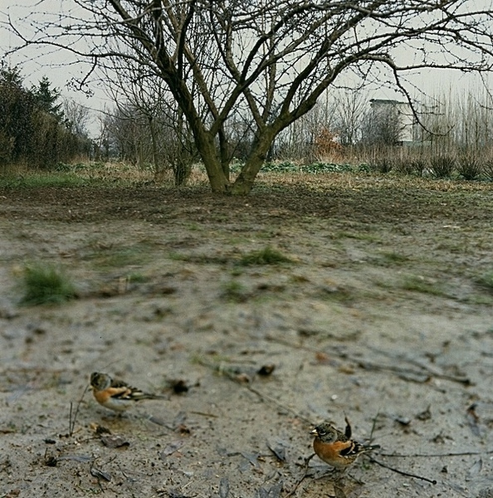 N° 66 Janvier à mars 1987