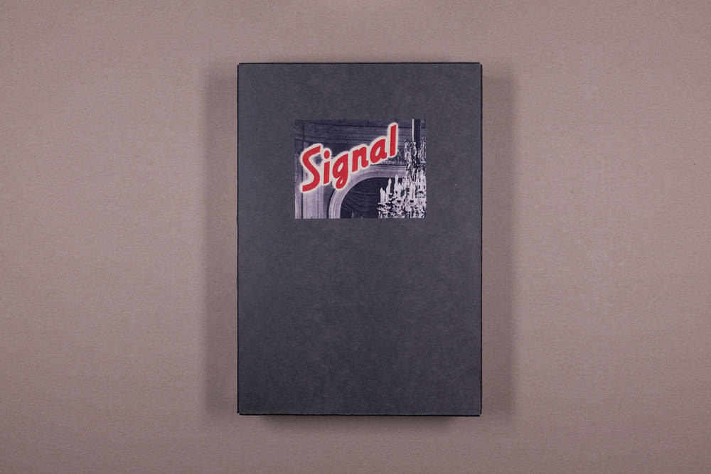 Signal
