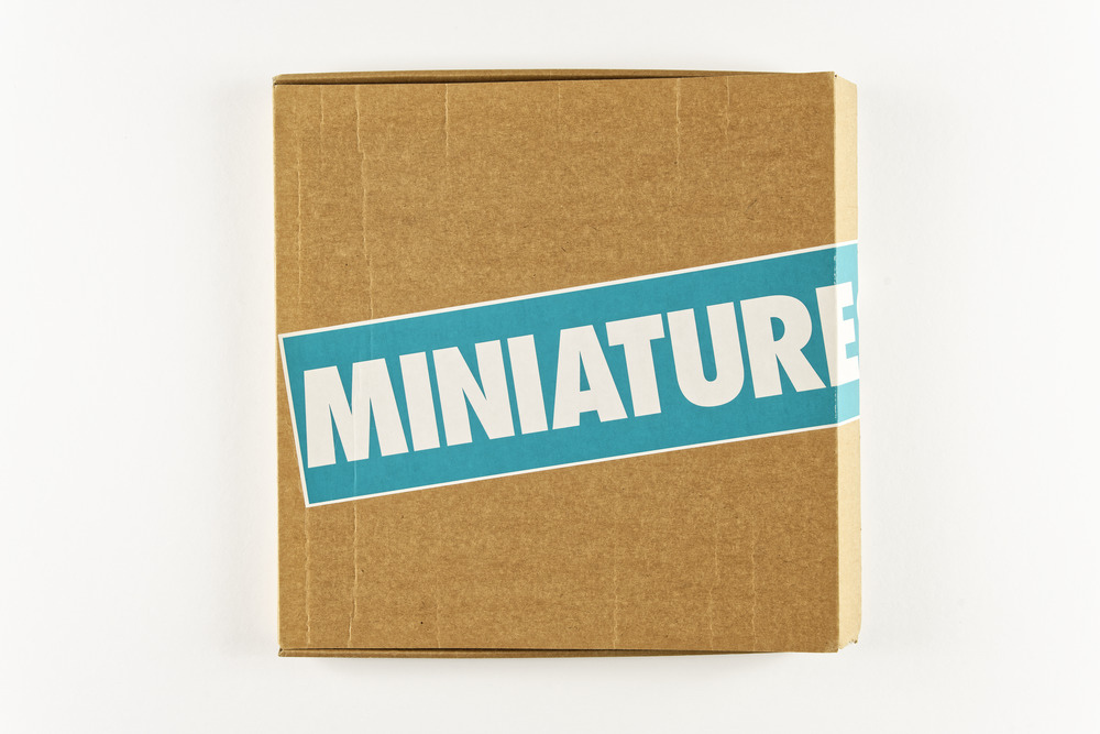 Miniatures