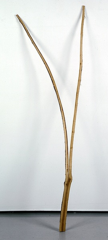 Vert, brut, refente entière plus refente partielle