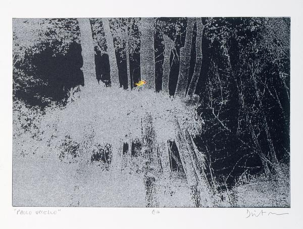 "PAOLO UCCELLO"