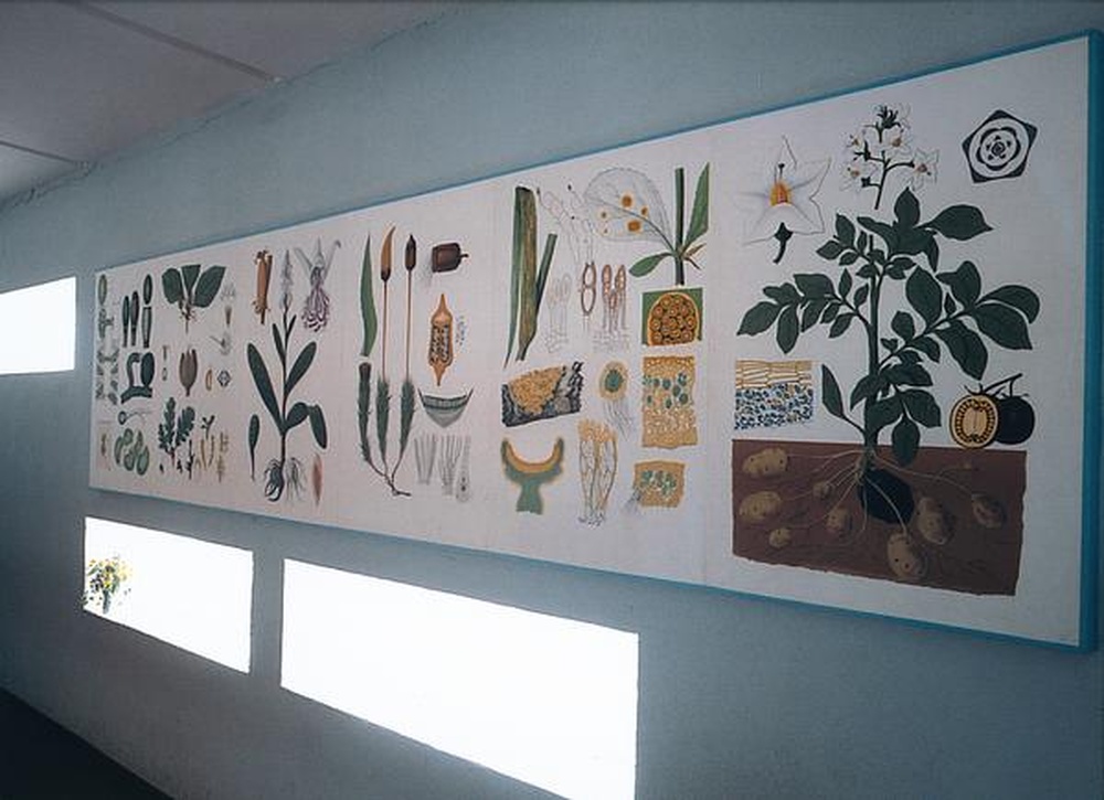Firminy-vert : école maternelle du stade (Marcel Roux), herbier dans le couloir d'entrée