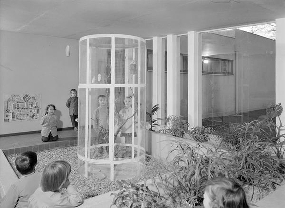 Firminy-vert : école maternelle des Noyers (Marcel Roux), enfants contemplant la volière