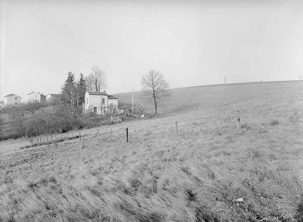 Saint-Etienne : prés et maisons individuelles