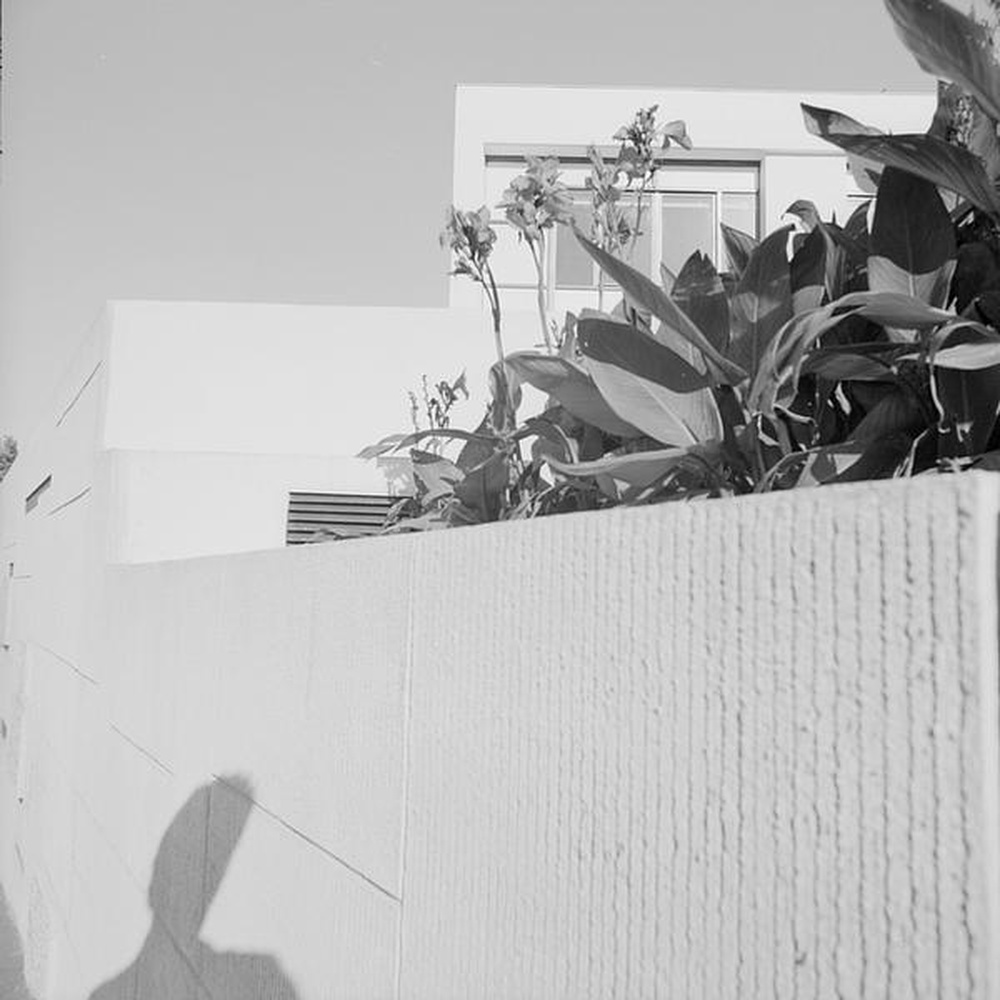 Firminy-vert : centre social (Charles Delfante), vue partielle d'une jardinière