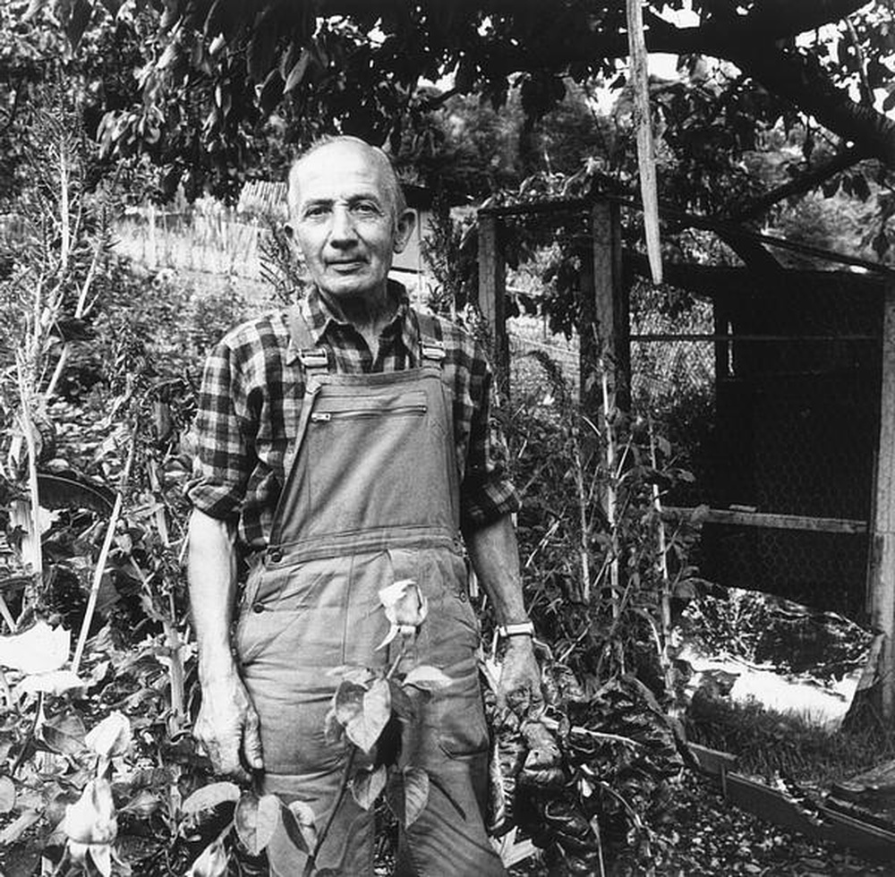 Les jardins ouvriers