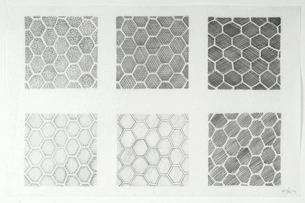 Empreintes de grillage à maille moyenne 50