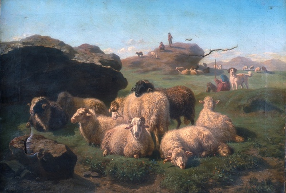 Moutons des Pyrénées