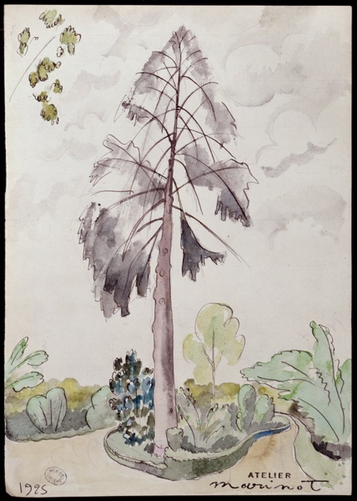 Paysage 1925