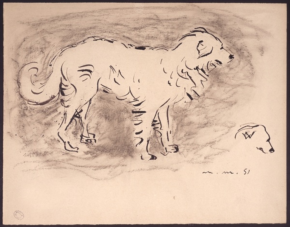 Le chien Plutot à Bréviandes