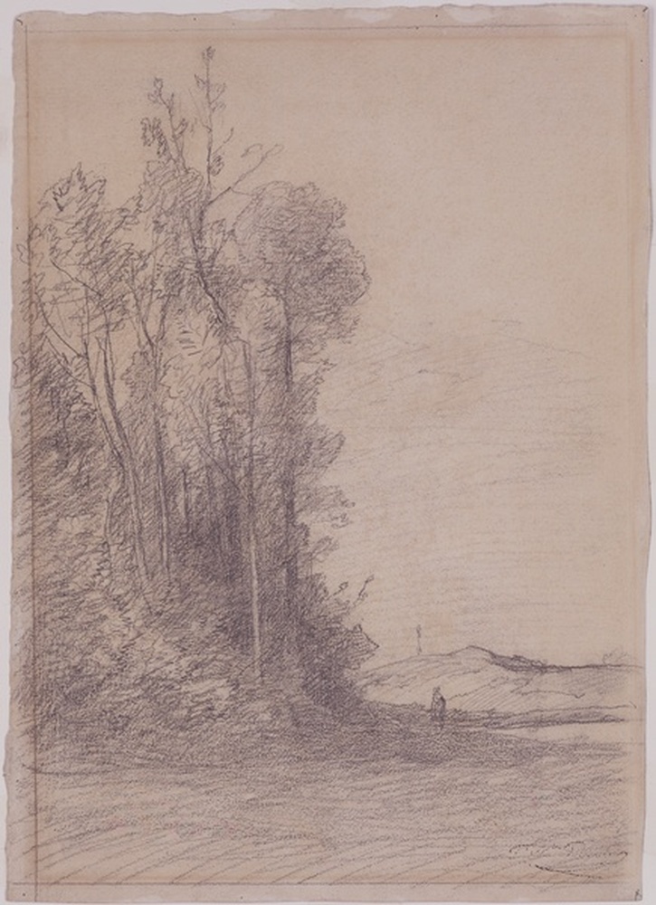 Lisière de bois