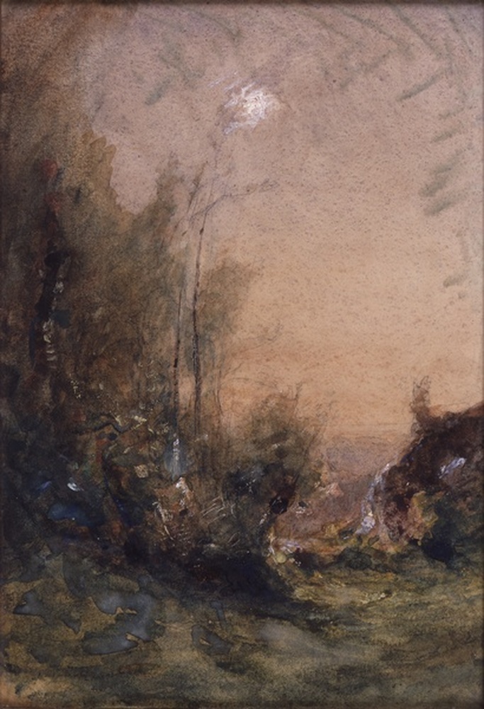 Soleil Blanc