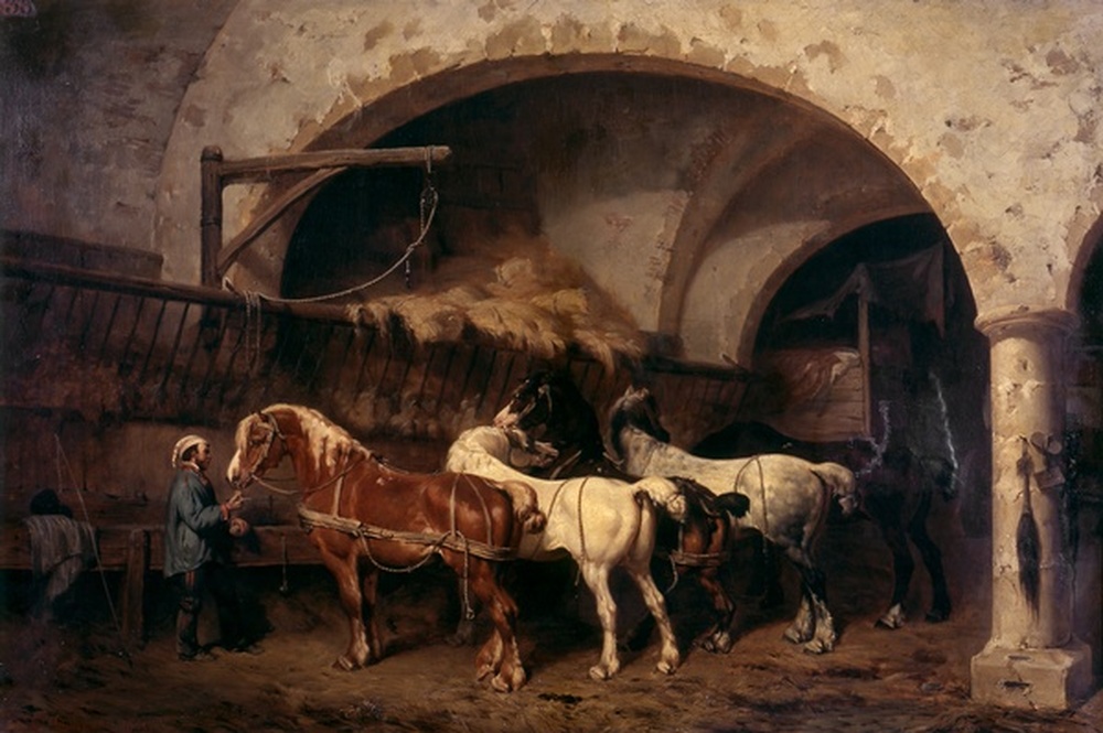 Chevaux à l'écurie
