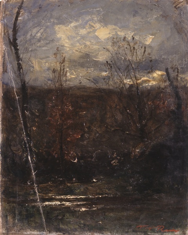 Montagne et arbres près d'une mare