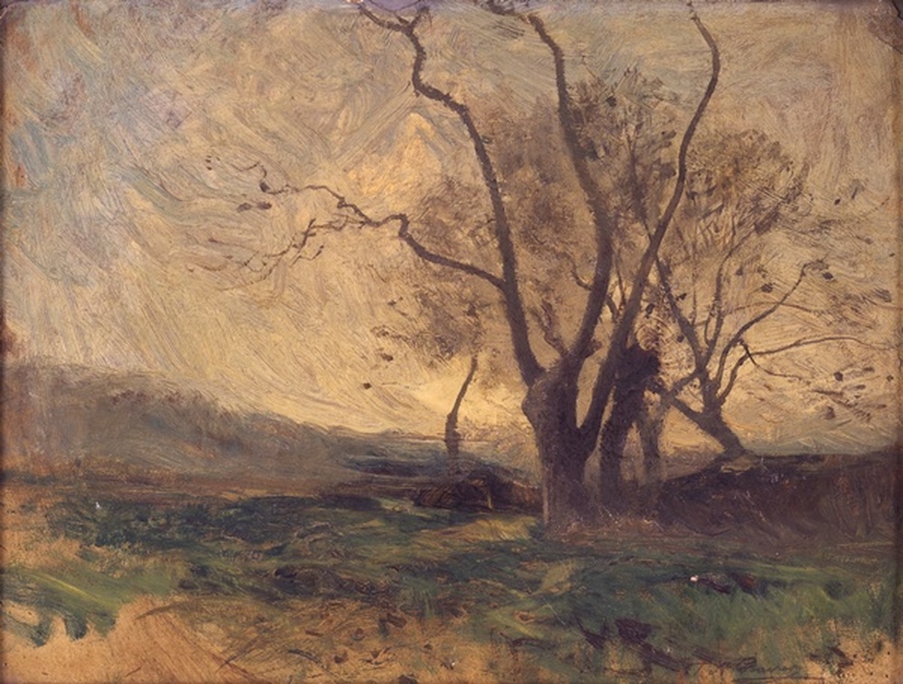 Paysage, ciel et arbres