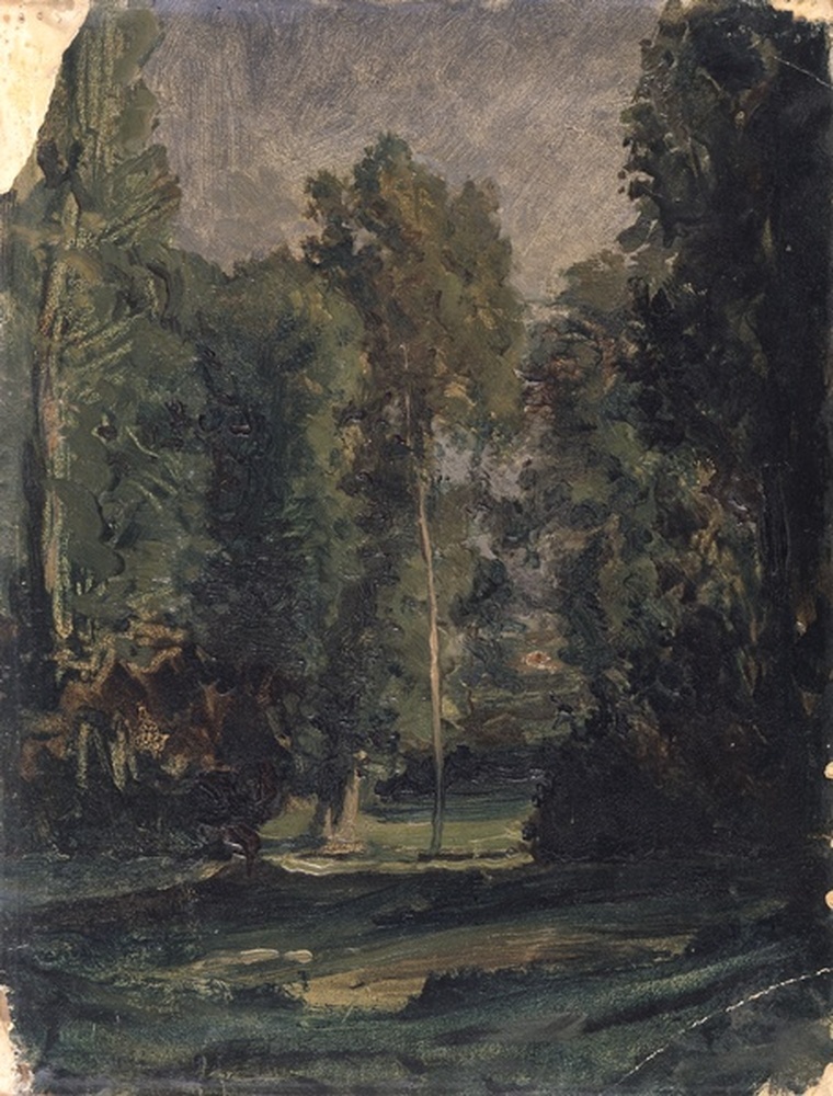 Paysage de forêt