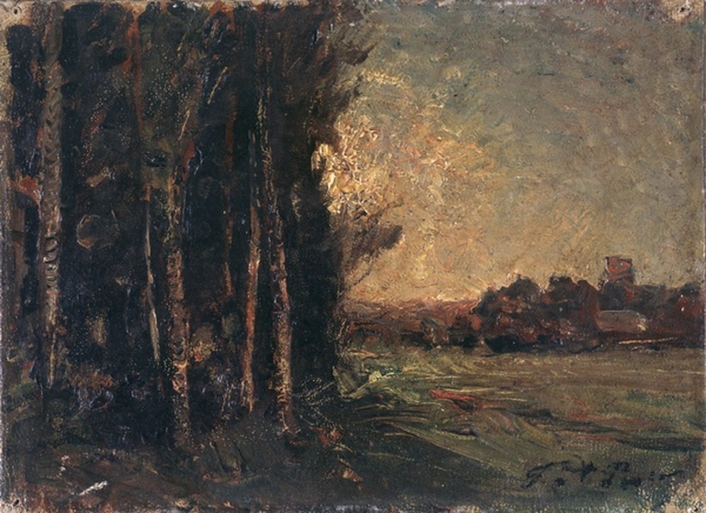 Paysage, lisière de forêt
