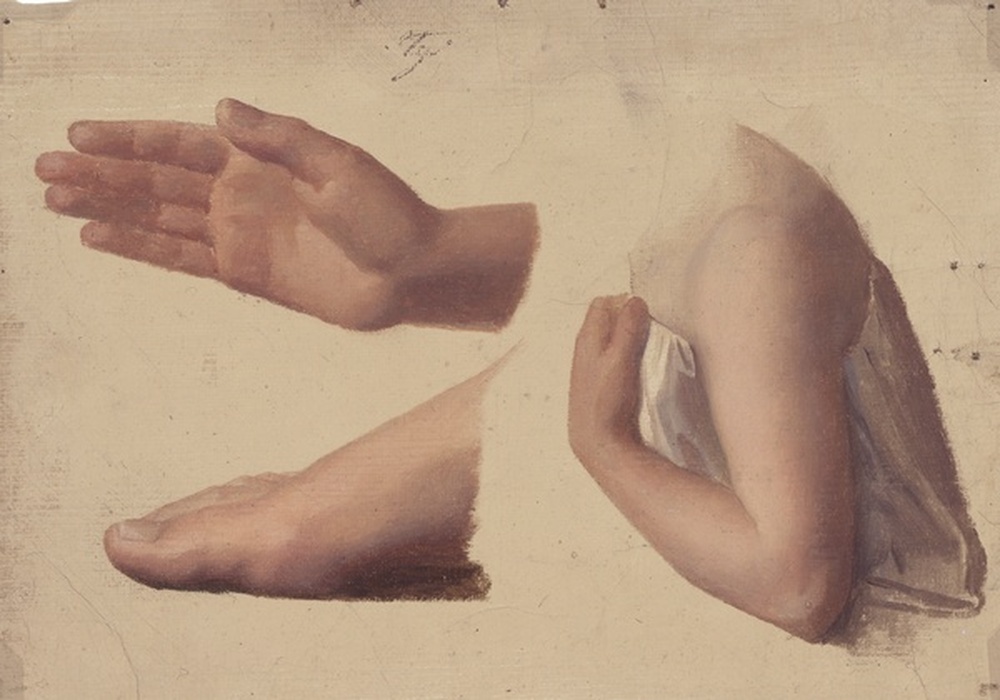 Etudes pied, main et bras