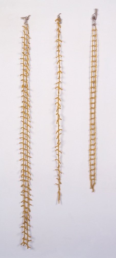 Trempage
1974