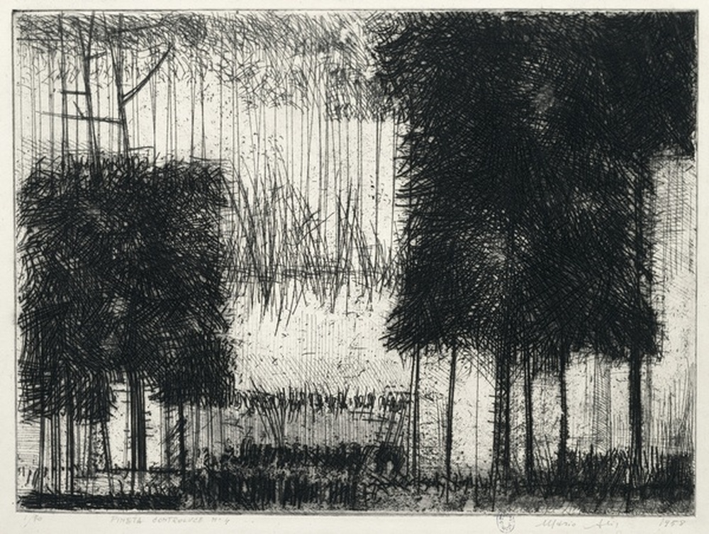 Pineta controluce n°4