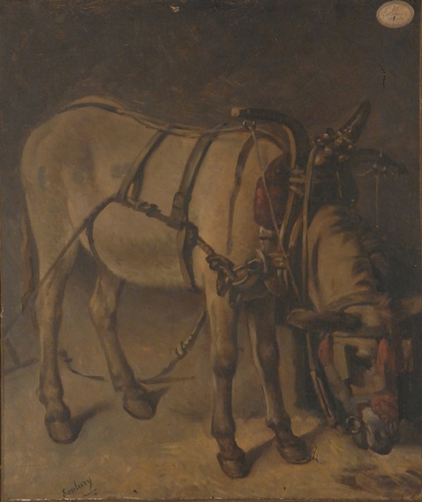 Ane harnaché