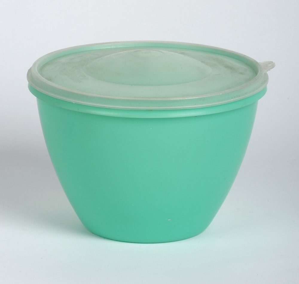 Bol Refrigerator Bowl