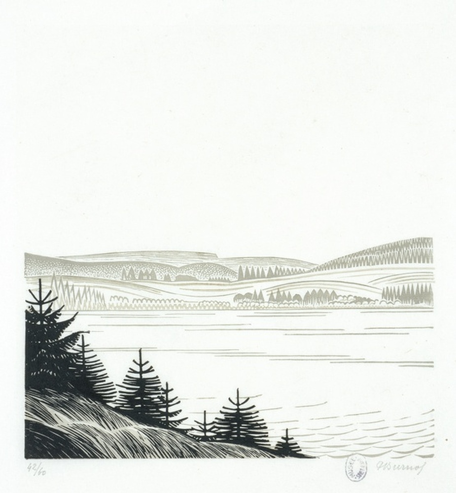 Malbuisson espace