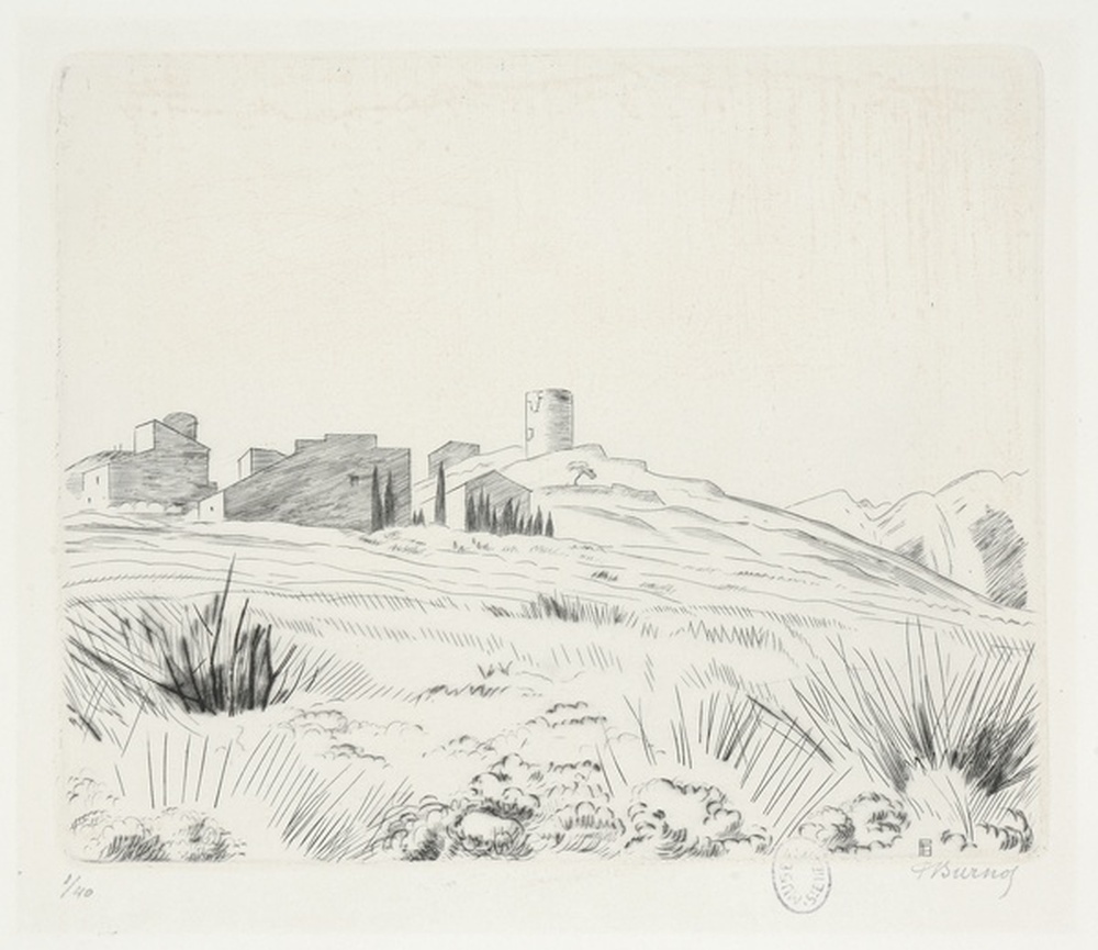 Garrigue à Eygalières