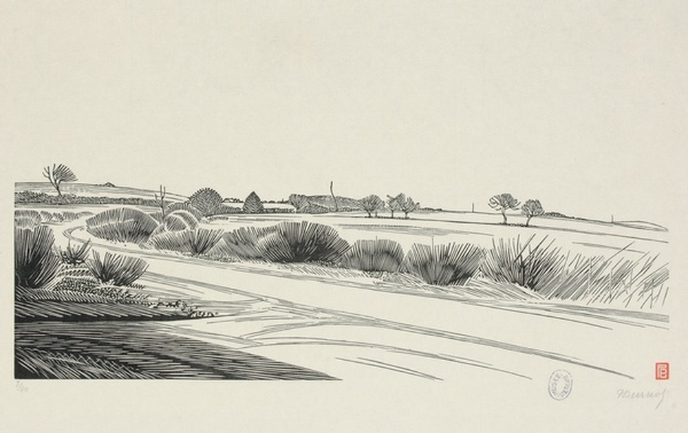 Chemin de Montaigüet