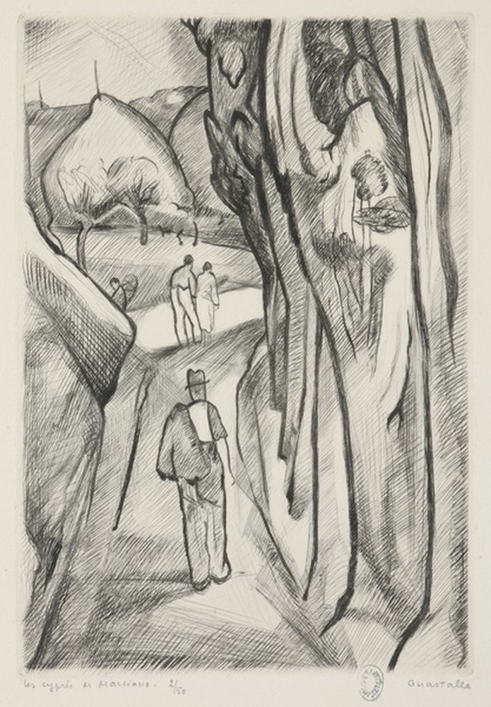 Les cyprès de Marciano