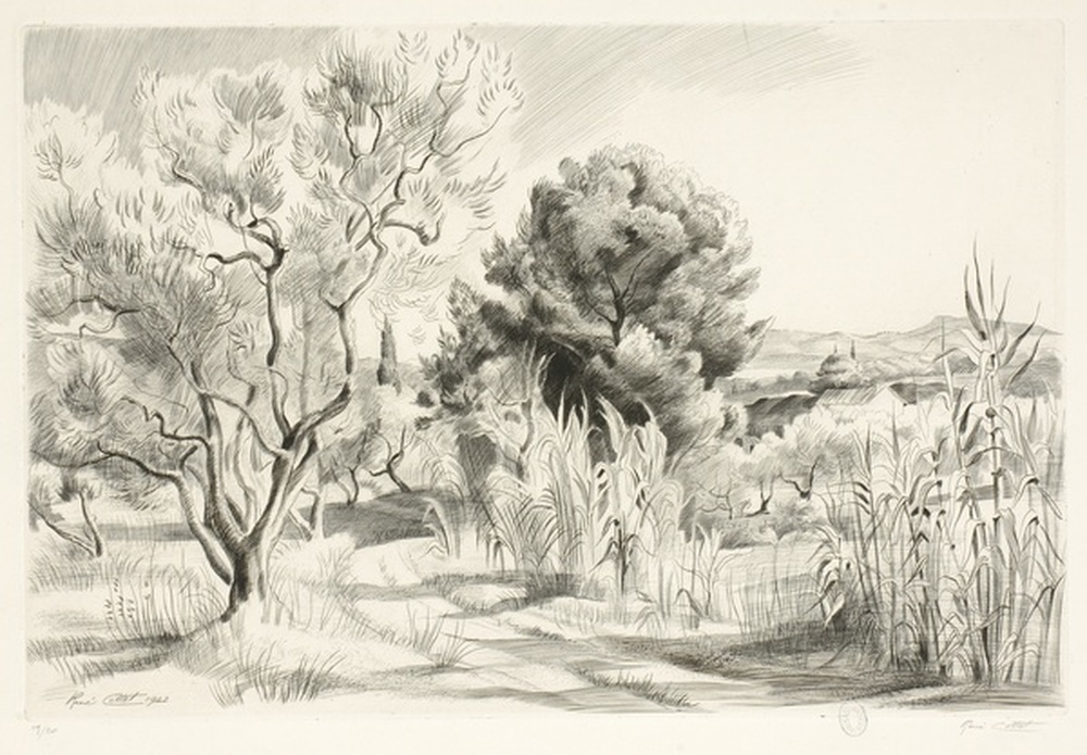 Chemin de Provence