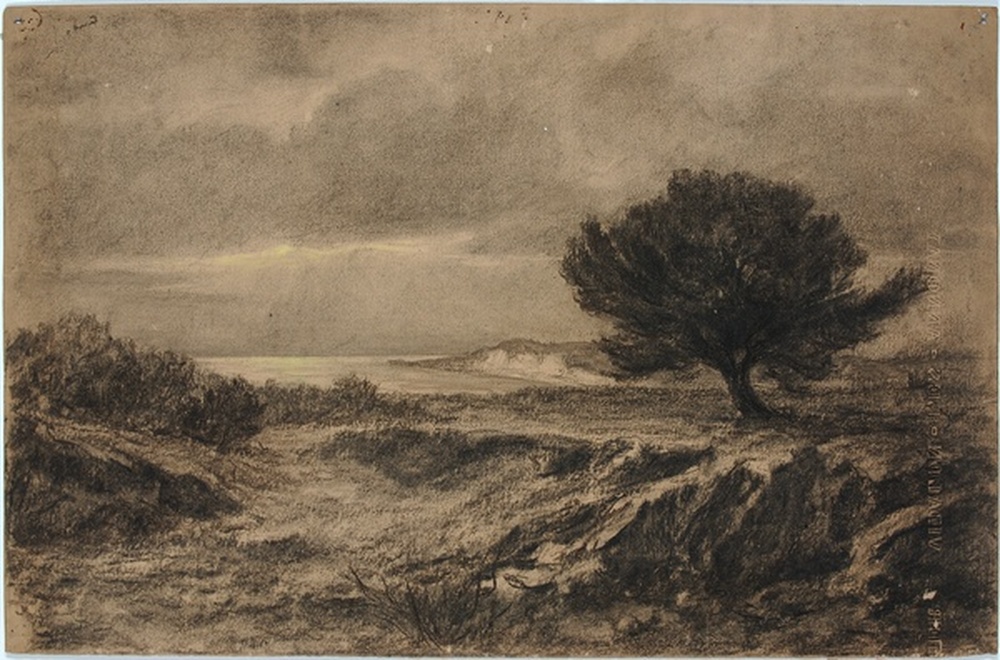 Paysage du Var